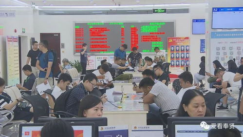 改革開放40周年丨一流的營商環(huán)境 助力奉賢成為投資熱土 投資咨詢服務